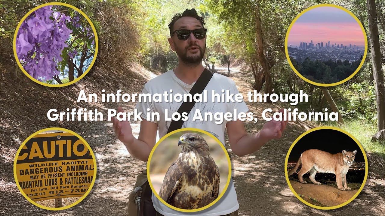 Take a hike through Griffith Park in Los Angeles California