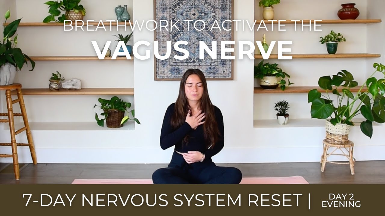 Breathing to Activate the Vagus Nerve | Nervous System Reset Day 2 - Evening