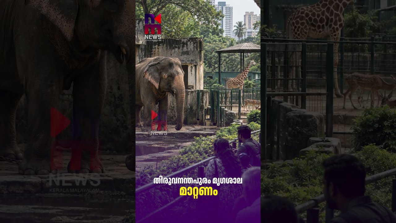 Relocate Trivandrum Zoo | TrivandrumZoo | VDSatheesan | News Kerala Malayalam