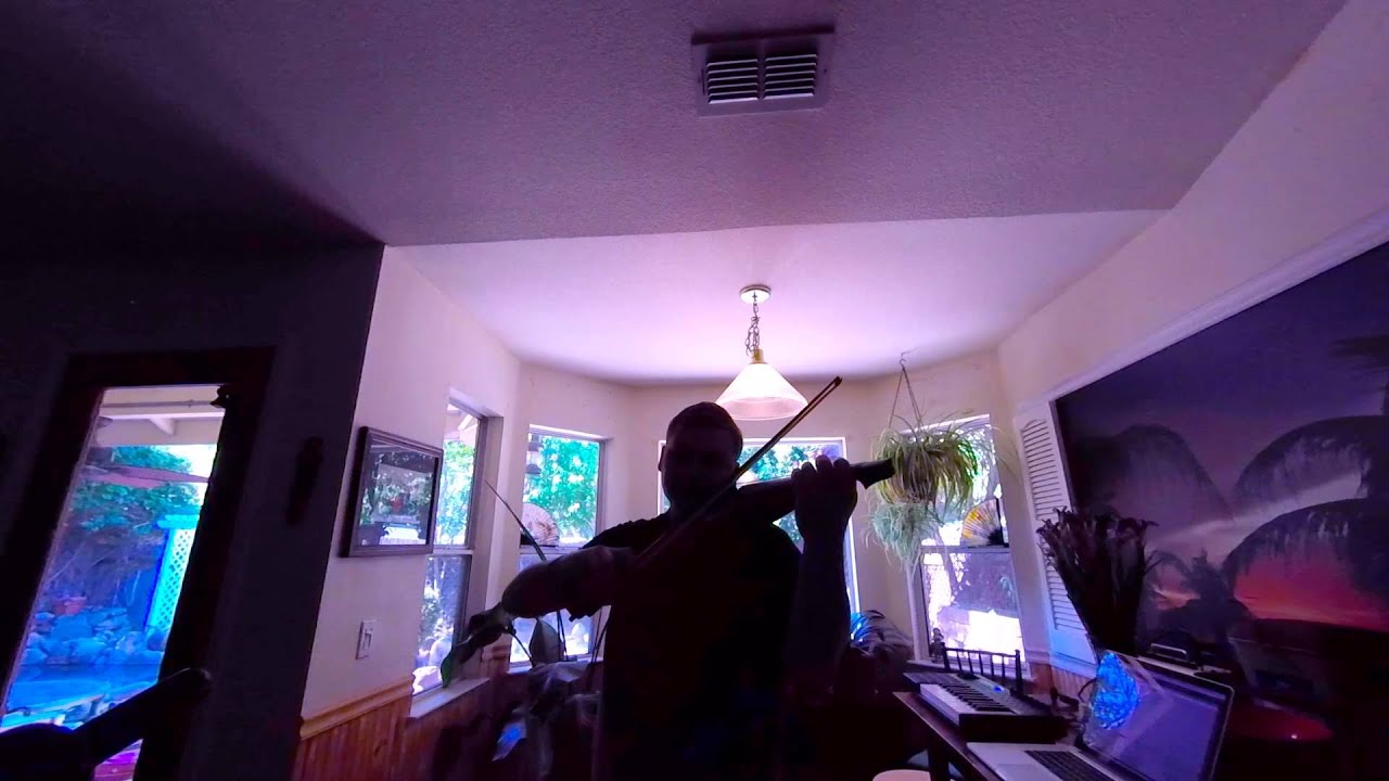 Hey Jude - Electric Viola Cover