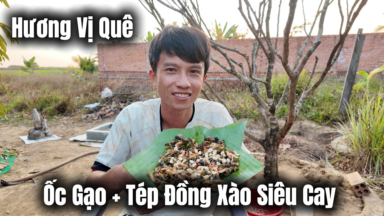 Ốc Gạo Tép Đồng Xào Siêu Cay Những Ngày Cuối Năm | Trần Thanh 93