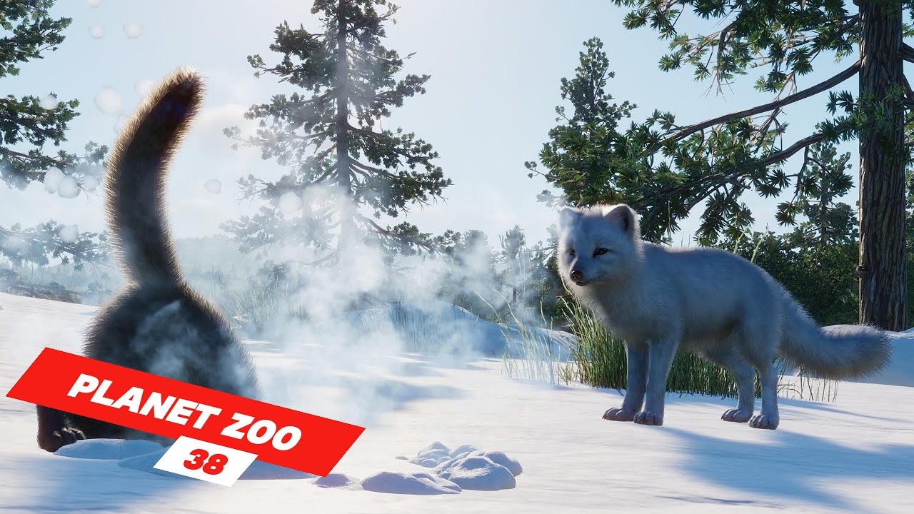 Building further on our Antarctica theme zoo | ep 38 | Planet Zoo | ZwollywoodZz