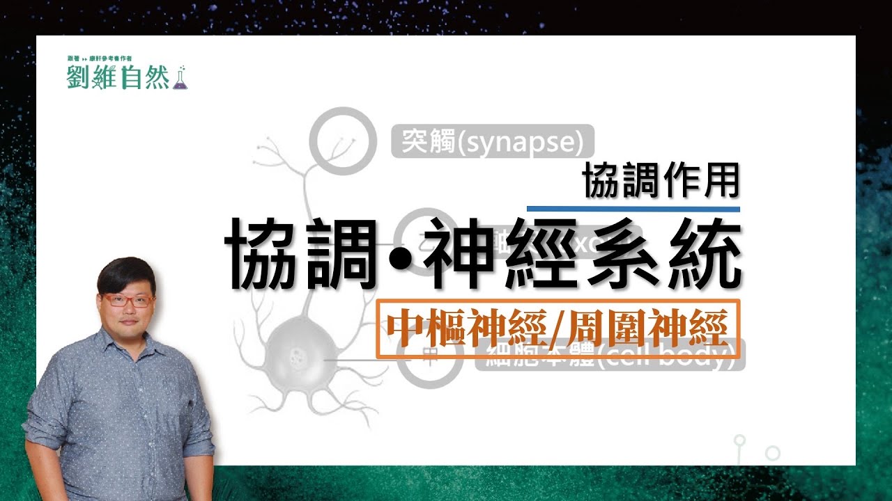 |生物教學|108課綱|神經系統|反射作用|協調作用|國中生物  (Nervous System | Reflex Action | Coordination Action)