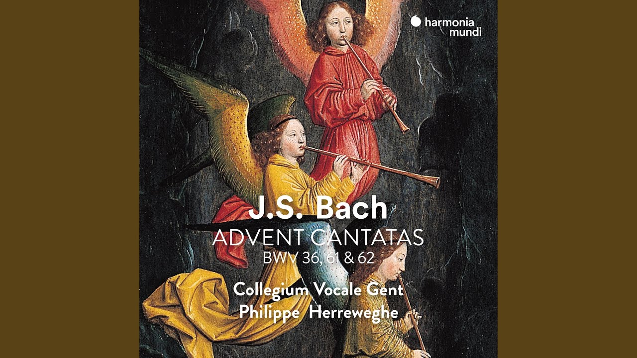 Schwingt freudig euch empor, BWV 36: V. Aria 