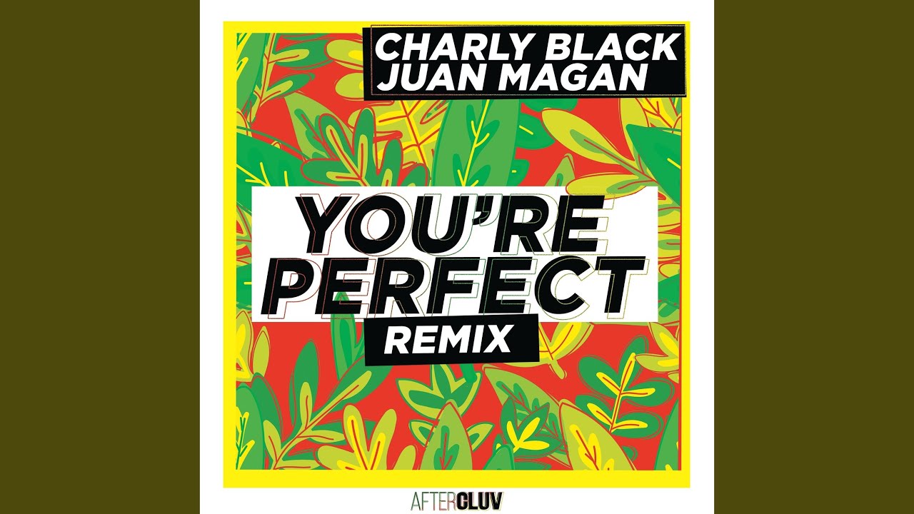 You're Perfect (Remix)