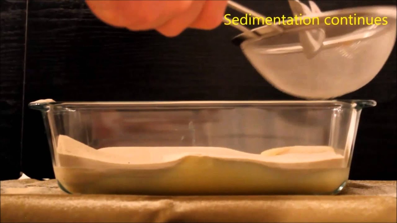 Endo Youtube Project 2014 - Salt tectonics