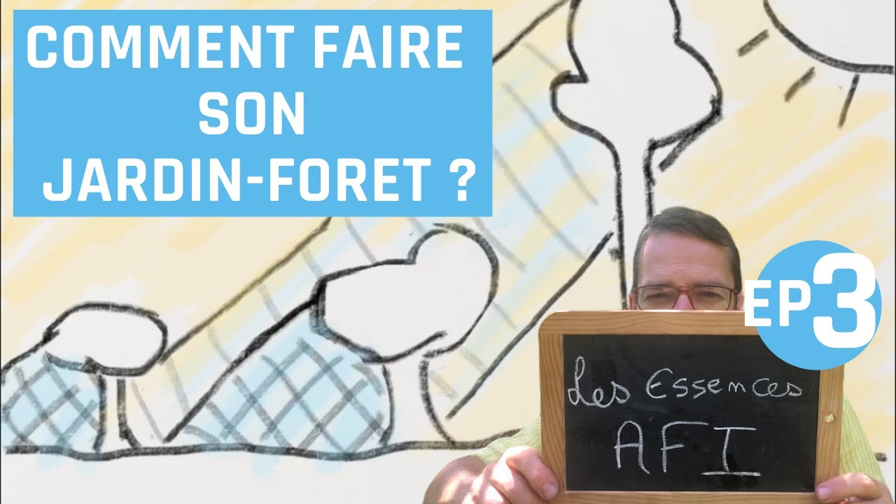 Comment faire son jardin-forêt ? (episode 3) Les essences AFI