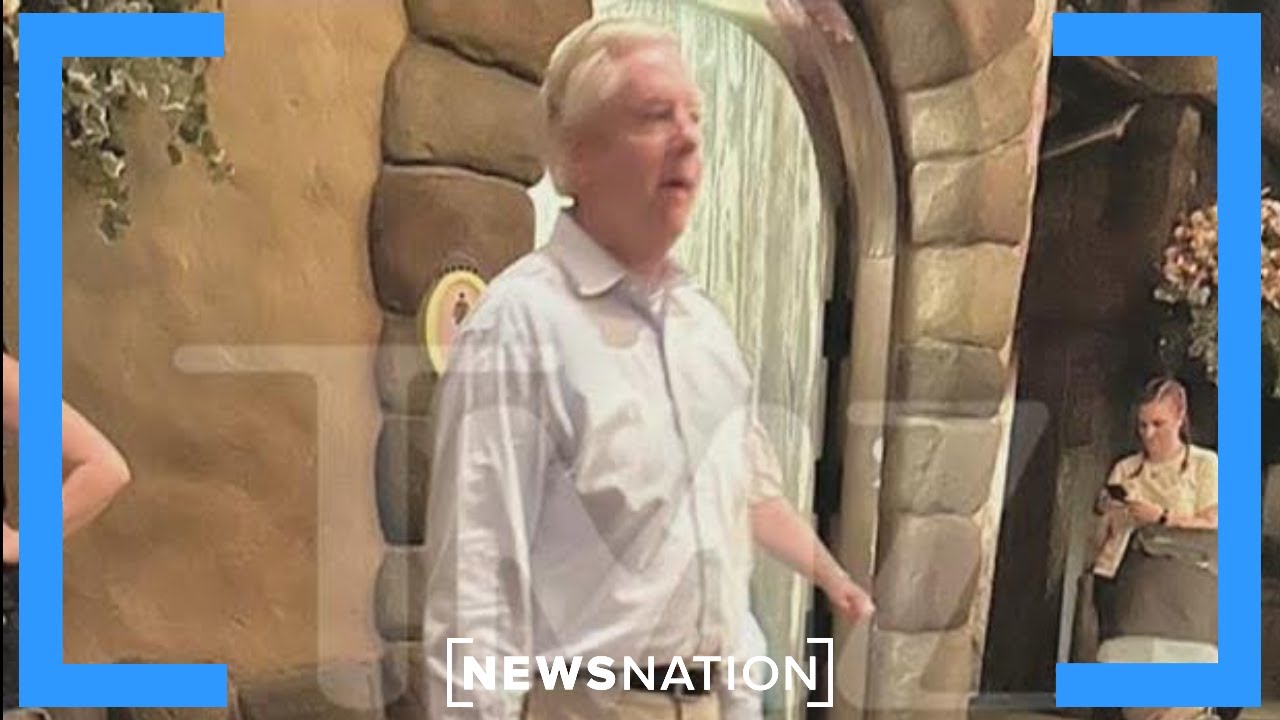 Линдси Грэм посетил Диснейленд во время каникул Конгресса на фоне кризиса в Управлении транспортн...