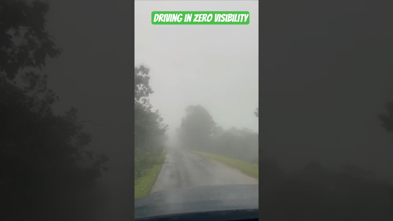 driving in zero visibility ,fog ,India monsoon #shorts