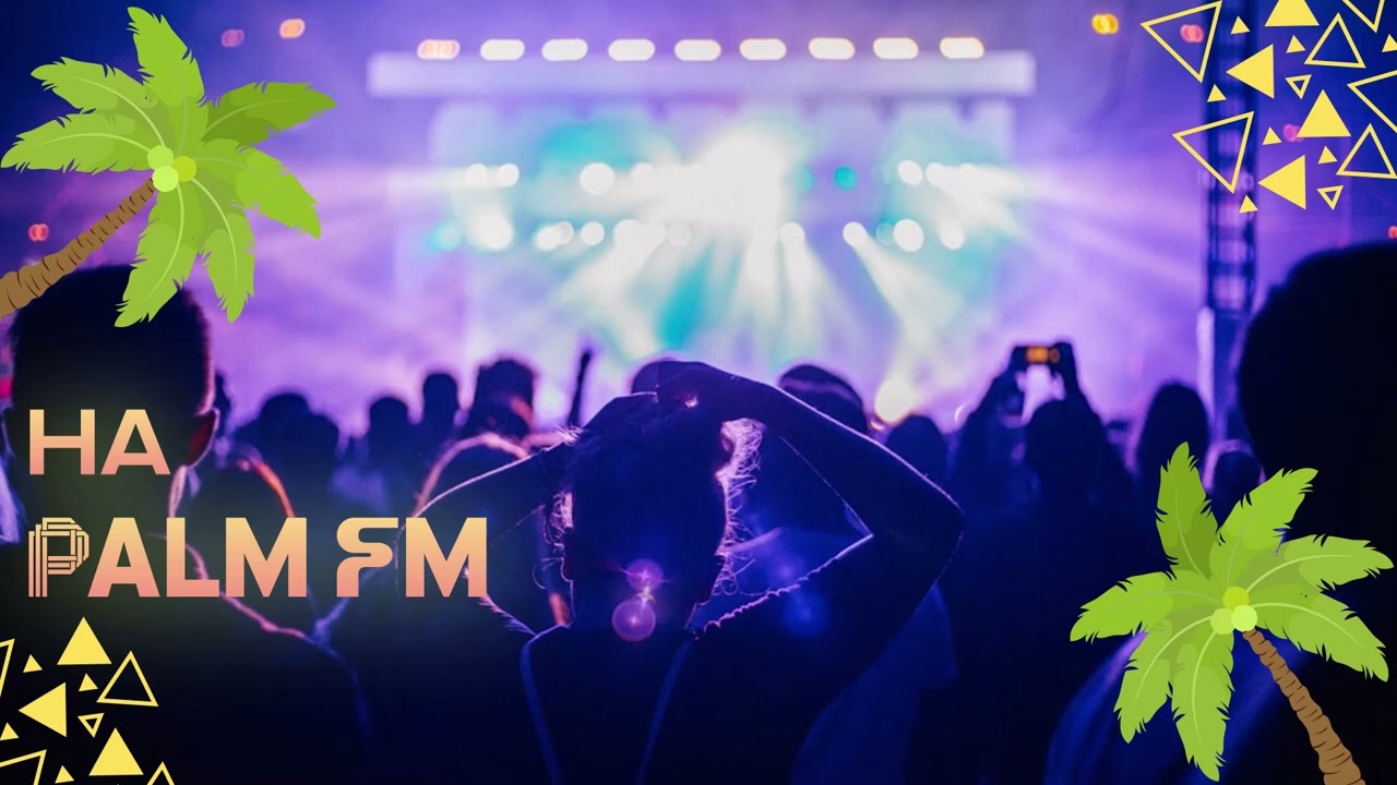 @PalmFm Kyiv-Funky Monkey Dj (Essential Mix Vol-02)