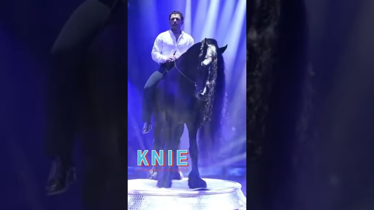 The Horse: the noblest of animals (pictures from the Circus Knie)