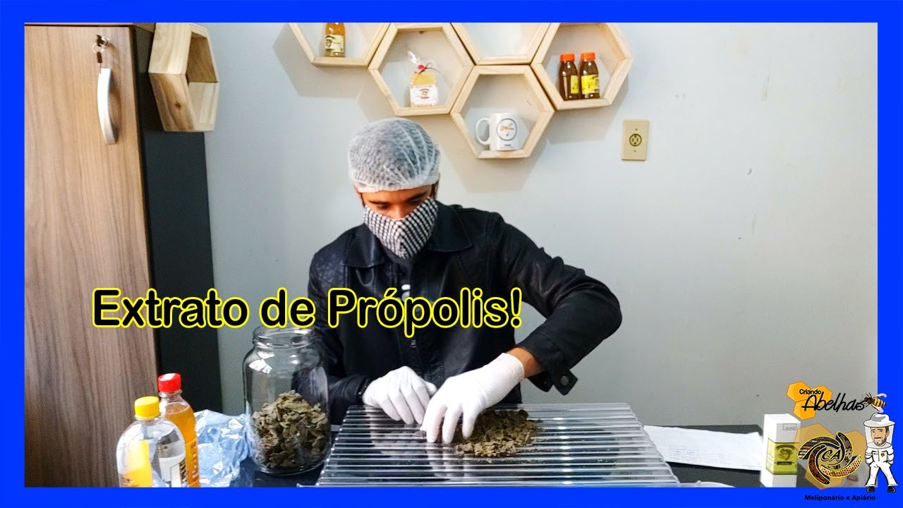 COMO É FEITO O EXTRATO DE PRÓPOLIS À 20%, P1 | CRIANDO ABELHAS!