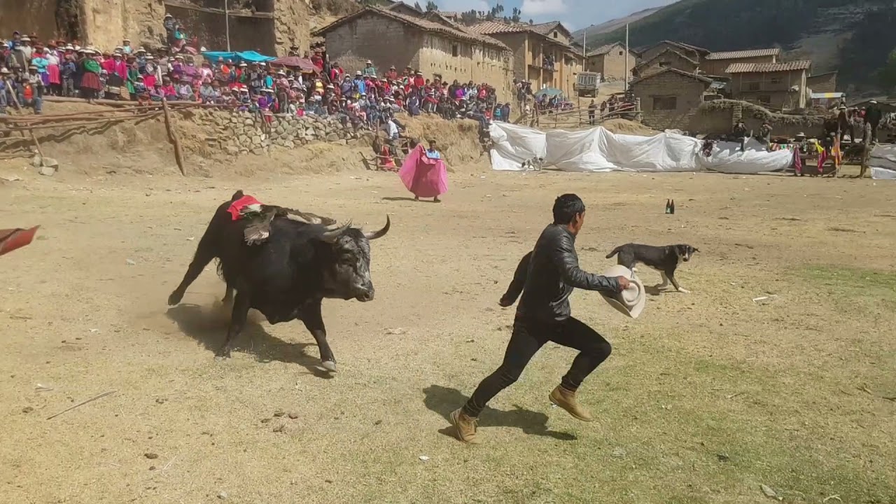 DOMADORES DE TOROS BRAVOS Y POTROS SALVAJES.