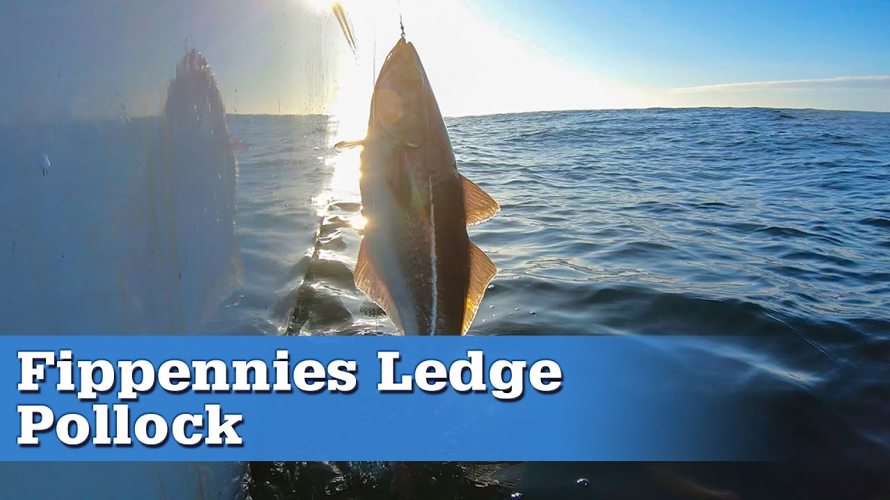 Commercial Fishing for Pollock with the New England Fishmongers | S17 E03