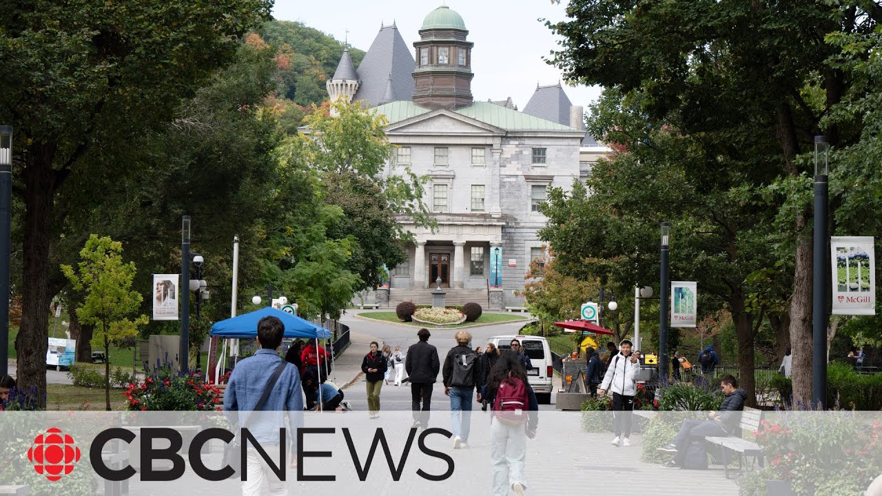 Federal work hour cap for international students necessary: immigration lawyer