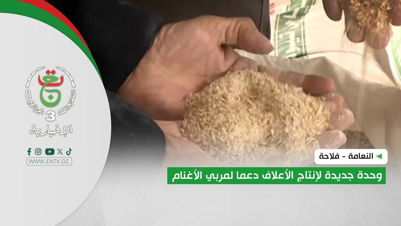 النعامة - فلاحة | وحدة جديدة لإنتاج الأعلاف دعما لمربي الأغنام