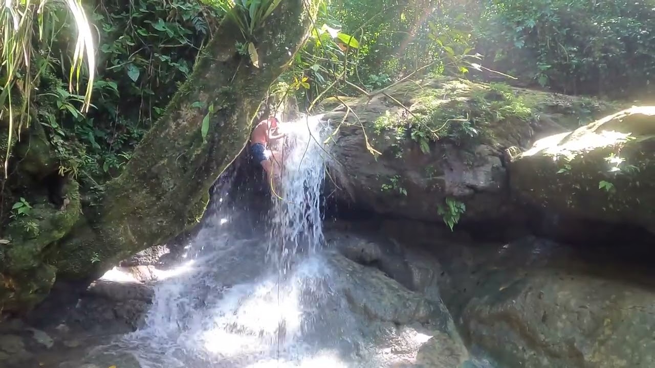 Puerto Rico Rainforest 