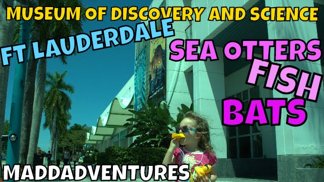 Museum of Discovery and Science Fort Lauderdale - MaddAdventures