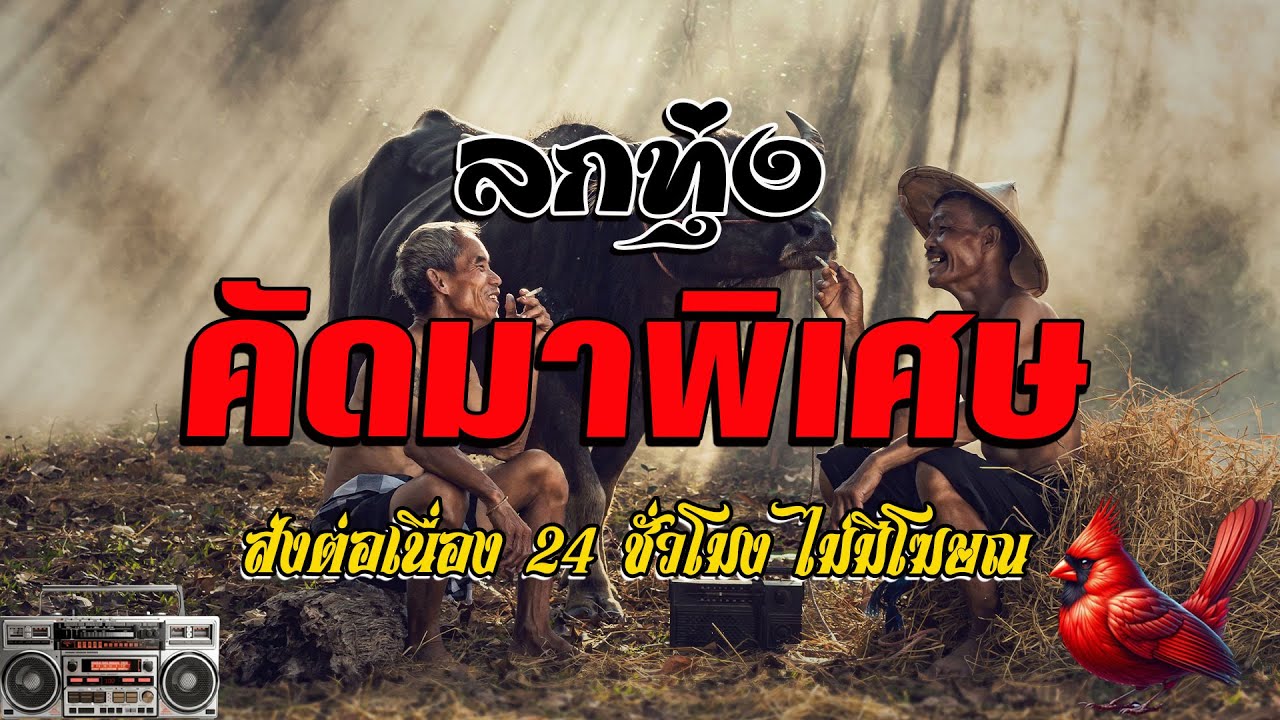 เพลงลูกทุ่งฟังเพราะ 100% คัดพิเศษ คัดมาพิเศษ ส่งต่อเนื่อง 24 ชั่วโมง ไม่มีโฆษณ 💗โคตรเพราะ