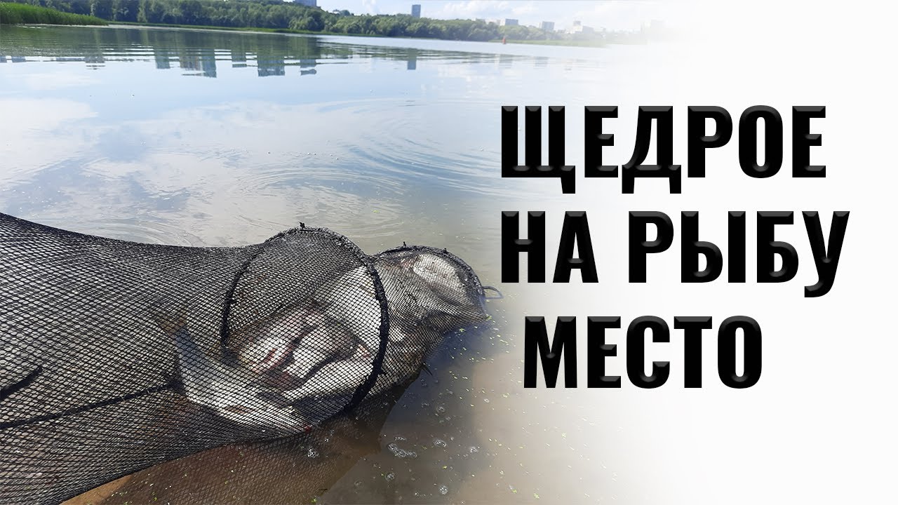 Щедрое на рыбу место. Поймать леща на фидер в Казани.Карась на  поплавок, судак на резку.