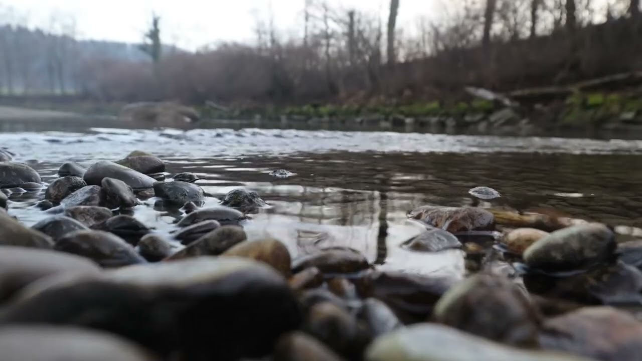 Peaceful Forest River 10 Hours - Soothing Nature Sounds for Deep Sleep Tranquility and Sleep fur TV