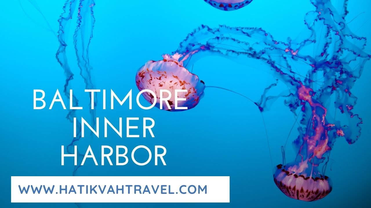 Touring Baltimore, MD: Inner Harbor, the Aquarium, and the submarine tour!