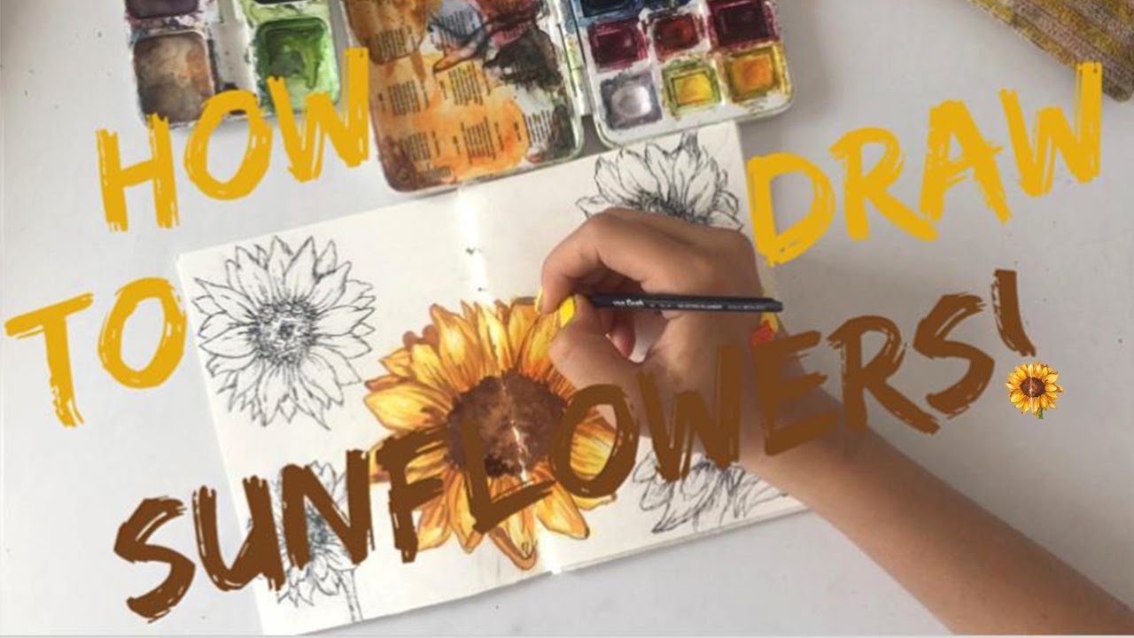 How to draw SUNFLOWERS for beginners to advanced level!