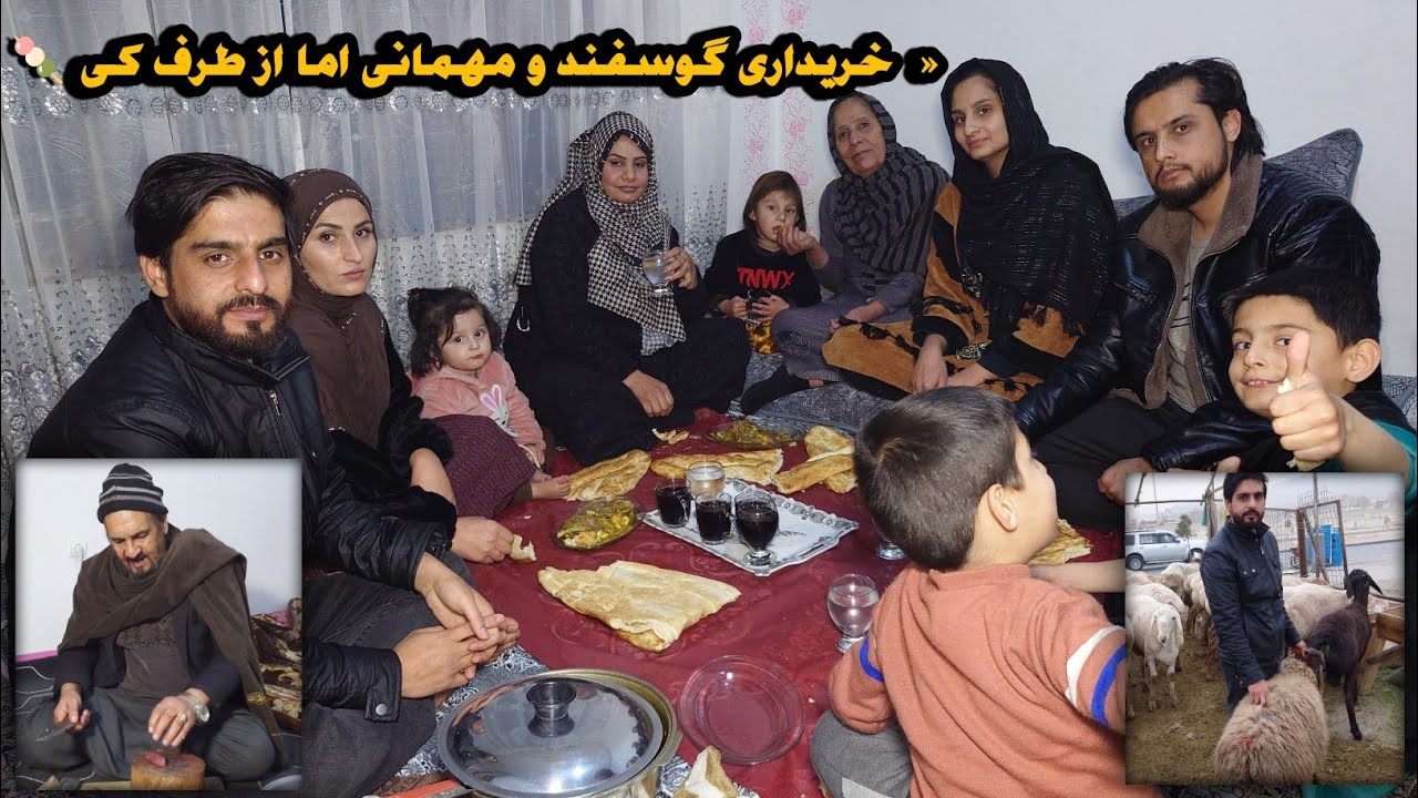 امروز رفتیم خریداری گوسفند و یک مهمانی فوق‌العاده عالی از طرف زحل برای همگی فامیل 🥰