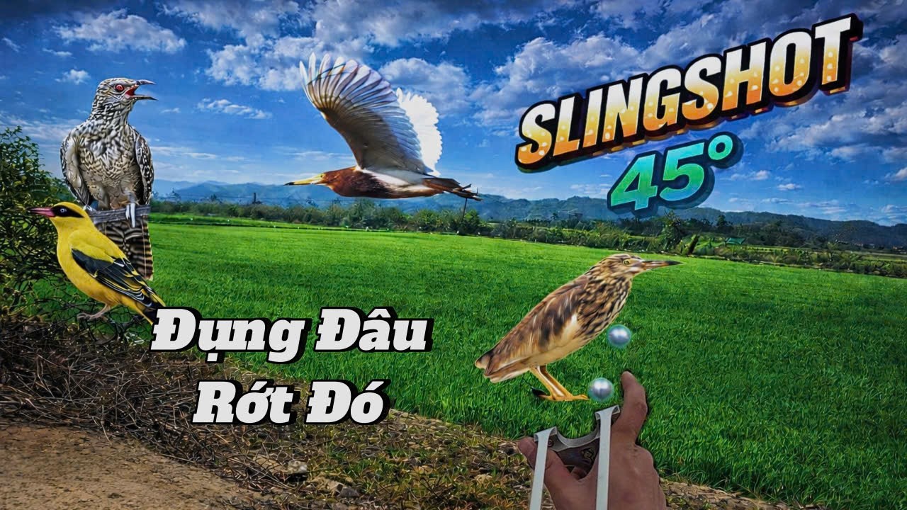 Chuyến Đi Săn Tìm Mồi Cuối Năm _Cứ Thấy Là Rụng Rồi Ra Đồng Làm Bữa Tiệc Dân Dã || SangSlingShot