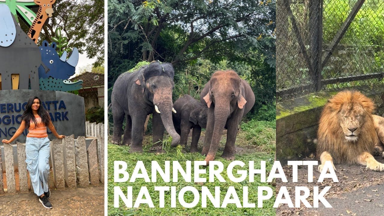 Bannerghatta national park | Jungle safari | Zoo | Family outing | kannada vlog | kids | bangalore
