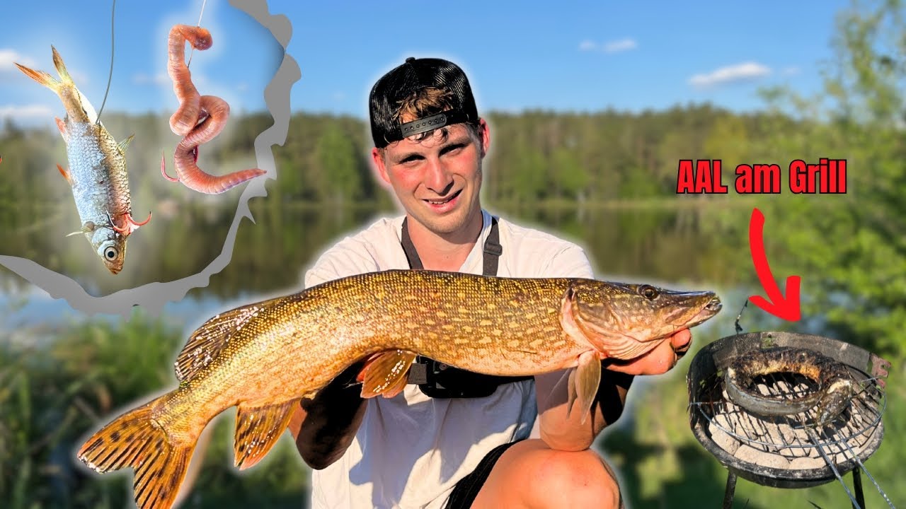72h mit Köderfisch & Wurm am kleinen Waldsee ANGELN 🎣🏕️