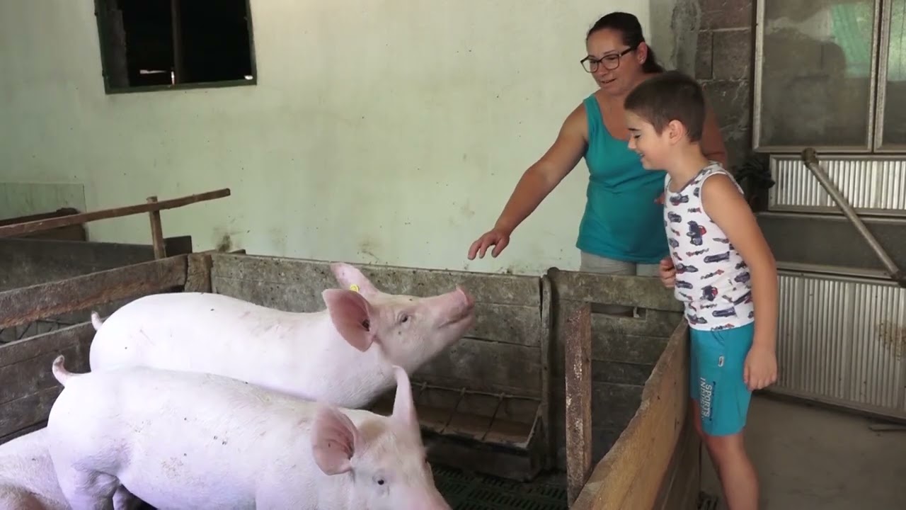 Agro karavan ep.243 - Svojnovo - 04.09.2022.