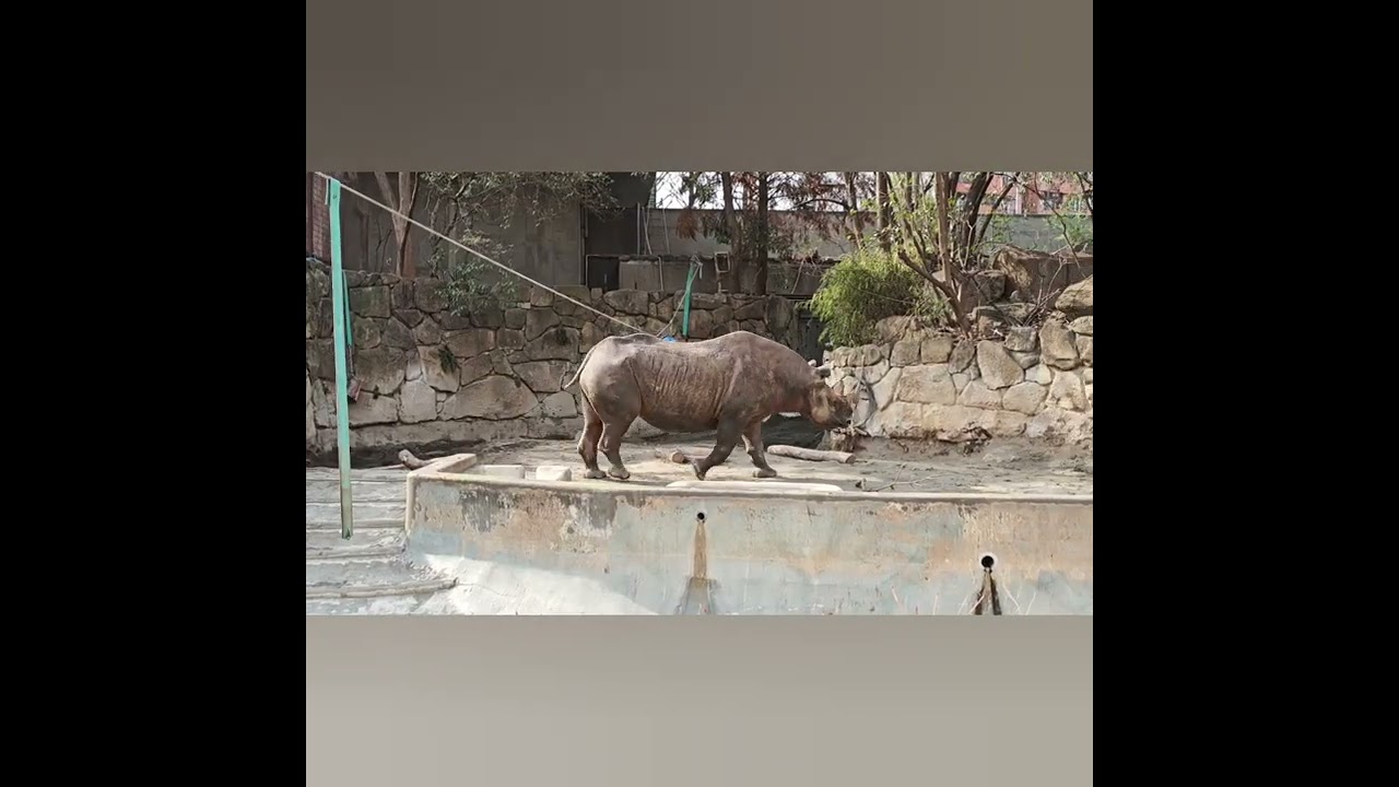 2026年 1・2月 上野動物園