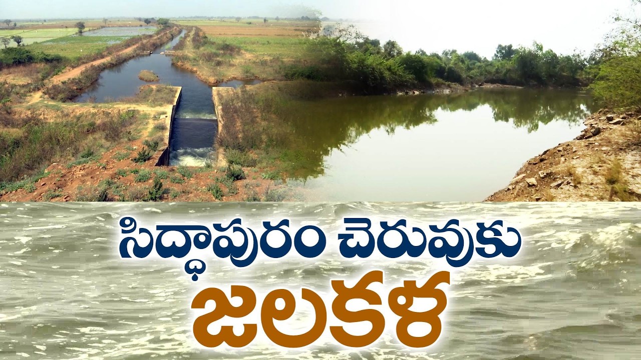 నిండుకుండలా మారిన సిద్ధాపురం చెరువు | Siddhapuram Lake Transformed Into a Pond Filled With Water