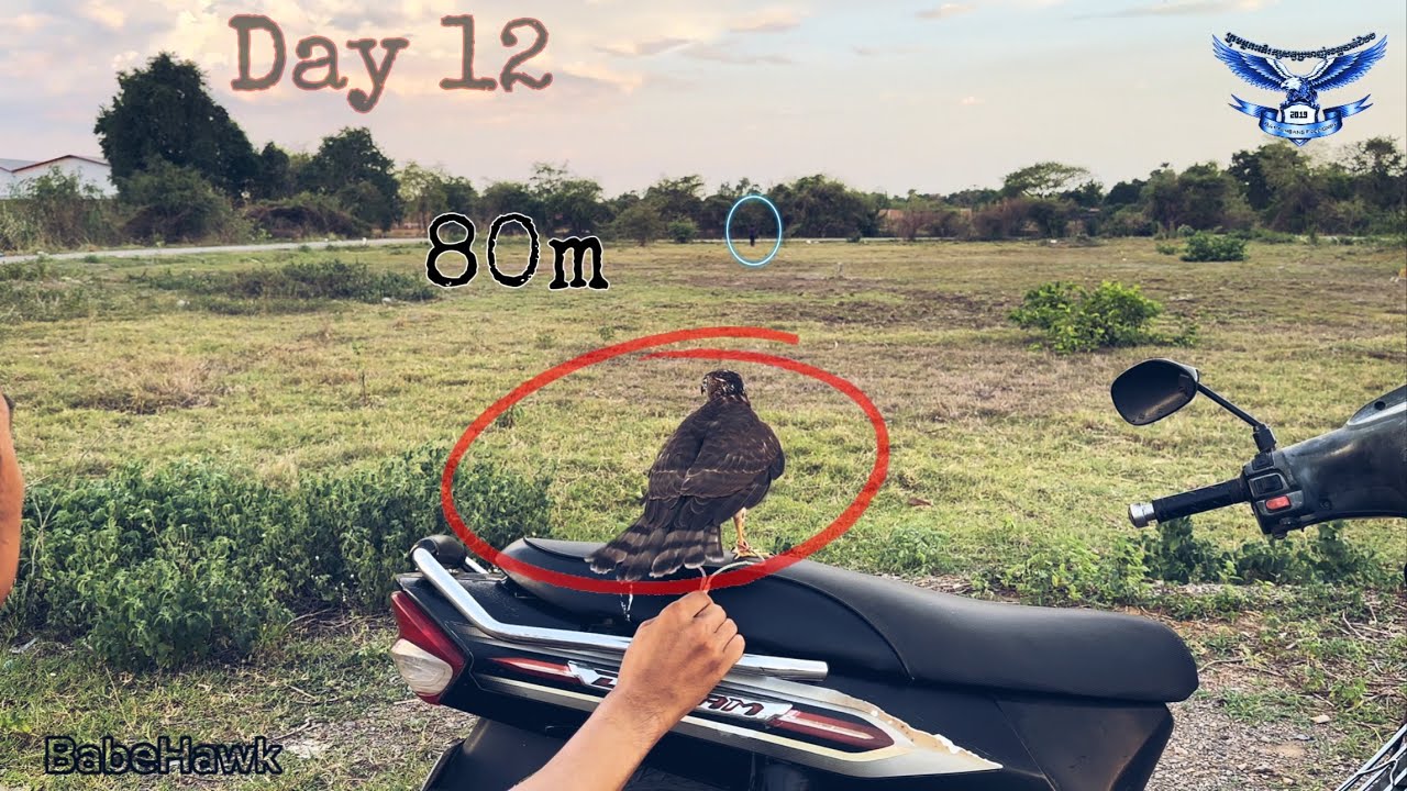 ឆ្លងដៃ​ ៨០ម៉ែតល្អនោះល្អ_បញ្ញាបង្ហាត់ថ្ងៃទី១២