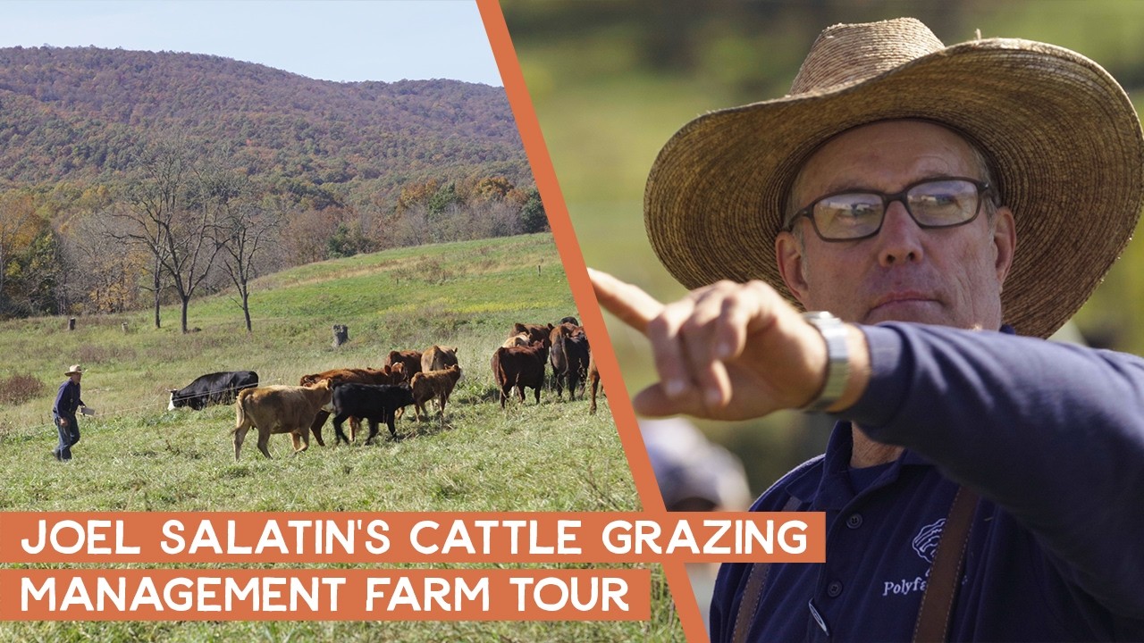 The Ultimate Farm Tour: Smart Cattle Grazing Management with Joel Salatin