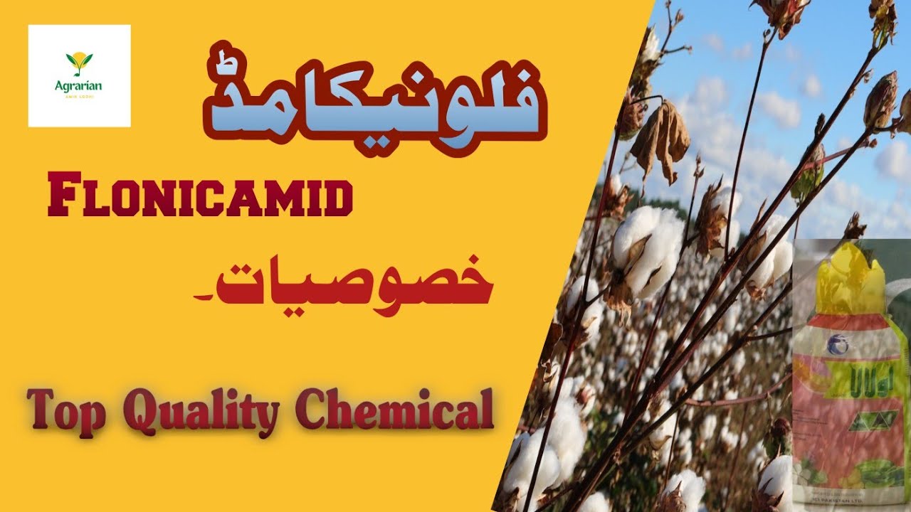 Flonicamid | Salient Feature | Whitefly | Jassid | Best Control | Agrarian Amin Lodhi