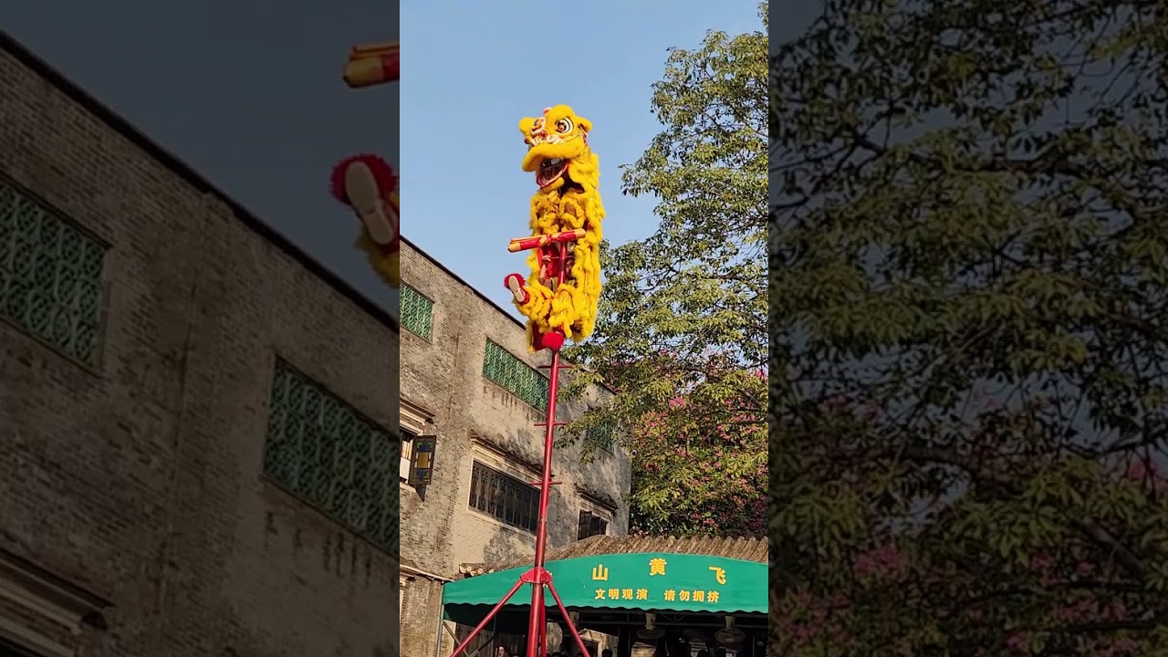 采青咯