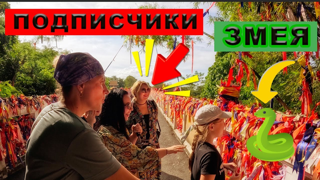 Накормил подписчиков лучшим ПАД-ТАЕМ в Паттайе! + Топовые локации!
