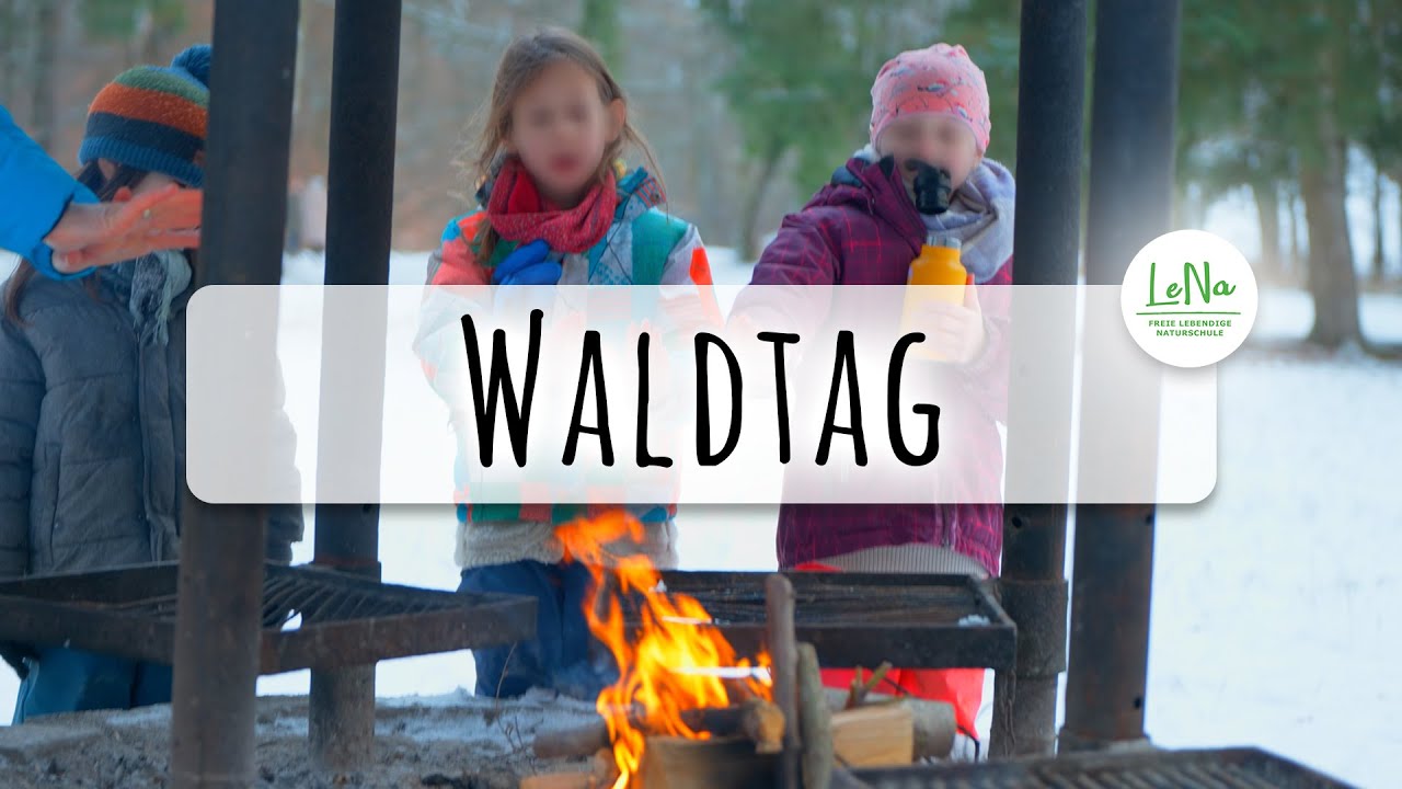 🍂 Waldtag 🍂