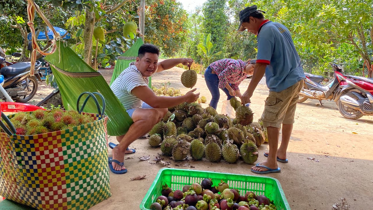 VƯỜN DU LỊCH LÝ QUẾ CƯỜNG ĂN BAO BỤNG/T83/ LONG KHÁNH QUÊ EM-PHƯƠNG PHÚ