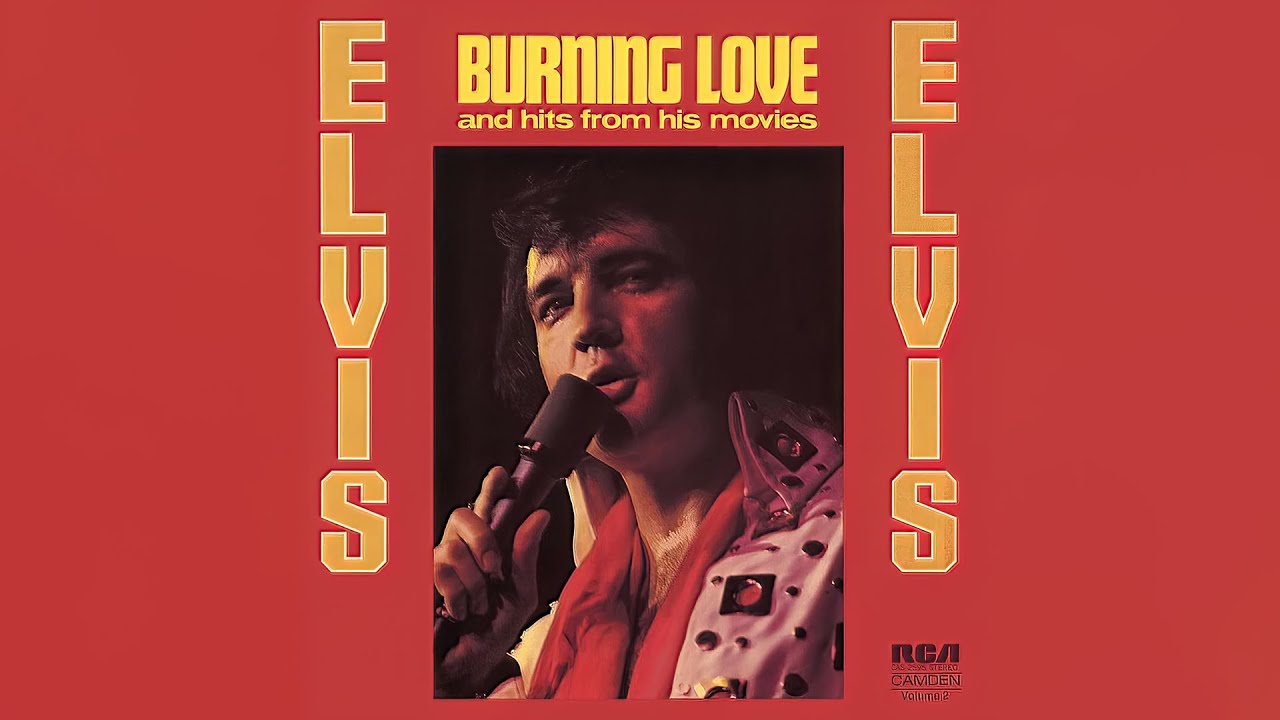 Elvis Presley - Burning Love (Instrumental)