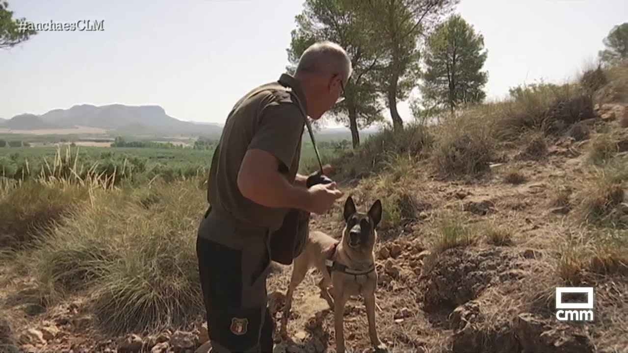 El día a día de los agentes medioambientales | Ancha es Castilla-La Mancha