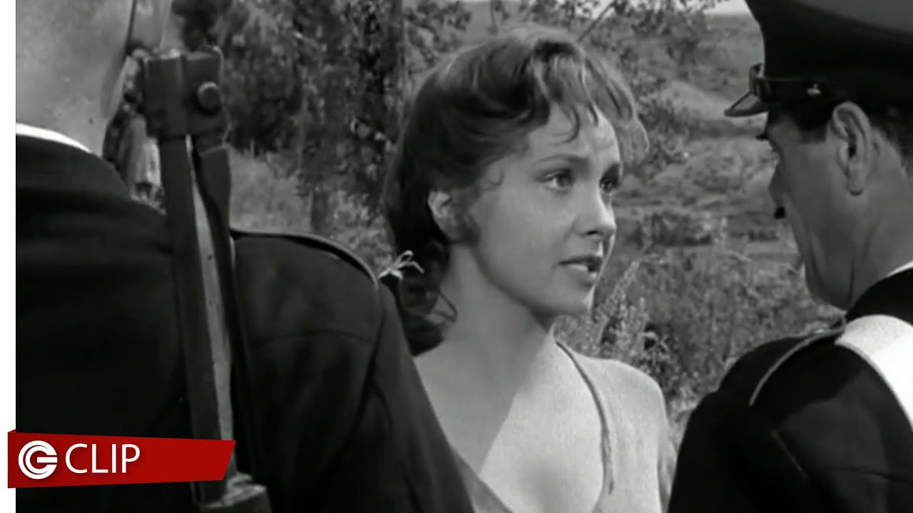 Pane, amore e fantasia - Gina Lollobrigida e carabinieri