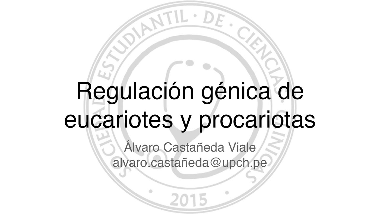 Regulación génica de eucariotes y procariotas