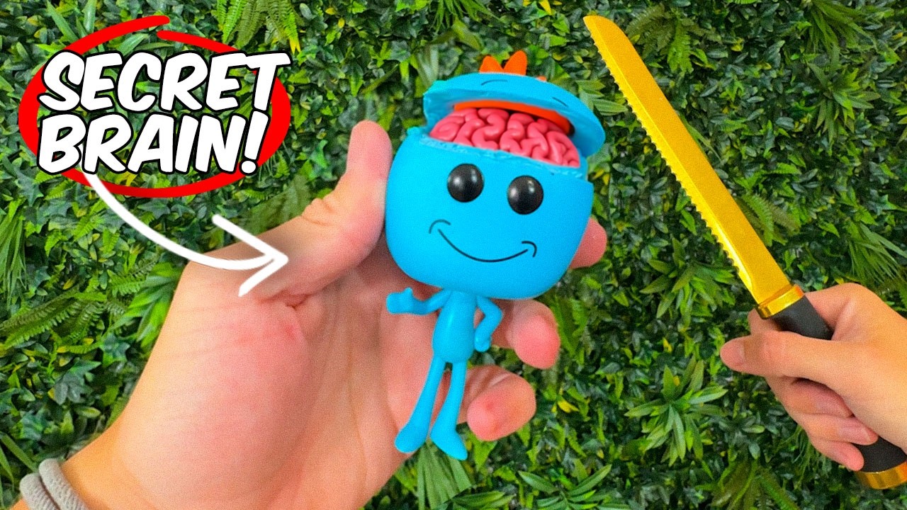 Секретный мозг внутри Рика и Морти Funkopops!