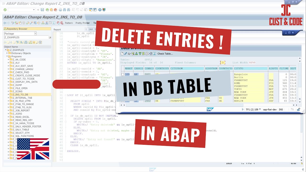 Delete Entries from Database Table - in SAP [english]
