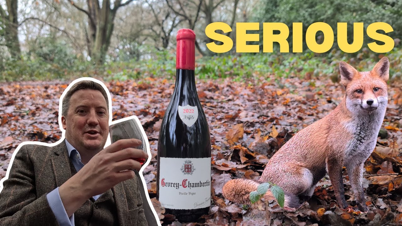 Fourrier Gevrey Chambertin 2022
