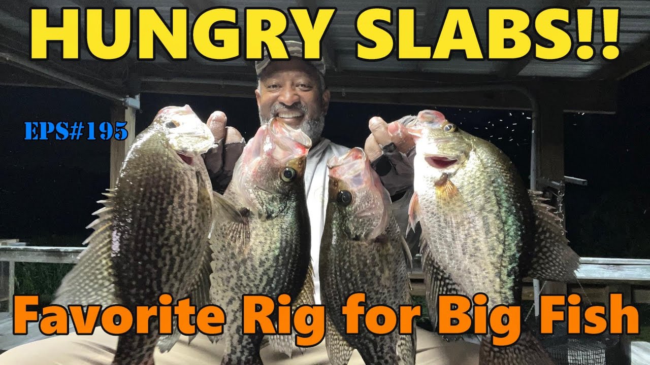 CRAPPIE ARE HUNGRY AND FEEDING!! #acccrappiestix #livescope #laketalquin