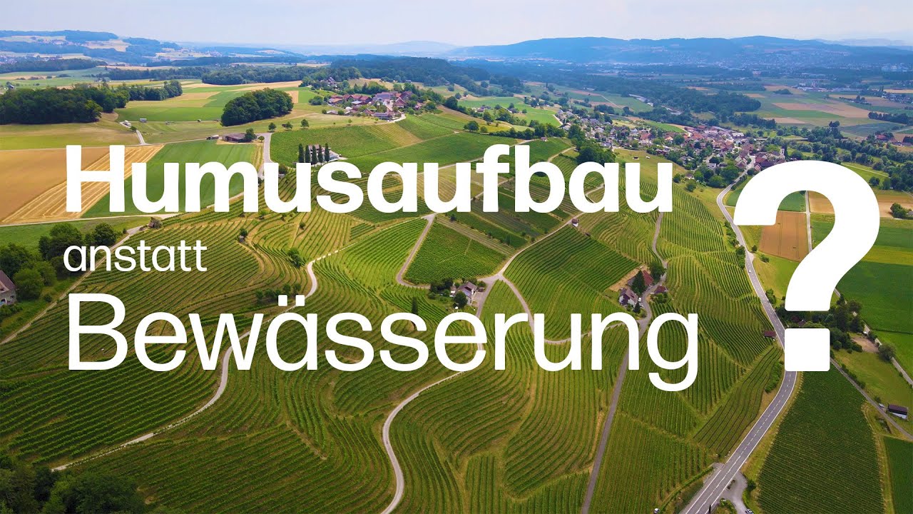 Humusaufbau statt Bewässerung im Weinberg – lebendige Böden dienen als Wasserspeicher